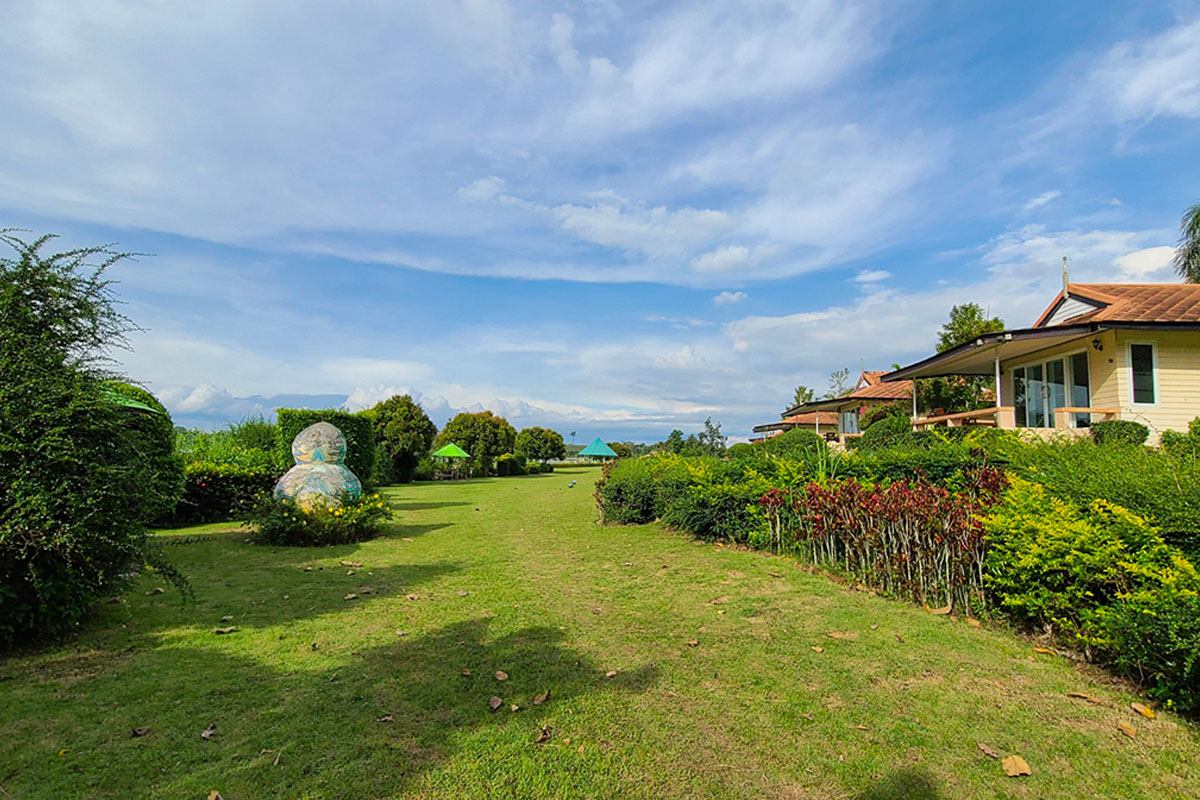 芝生（張り替え・メンテ）