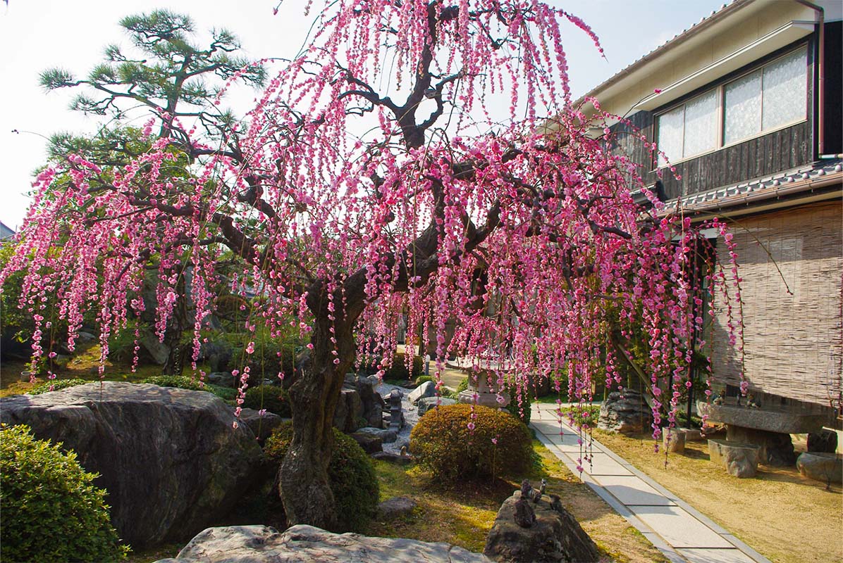 ニーズに合わせた柔軟なスタイル